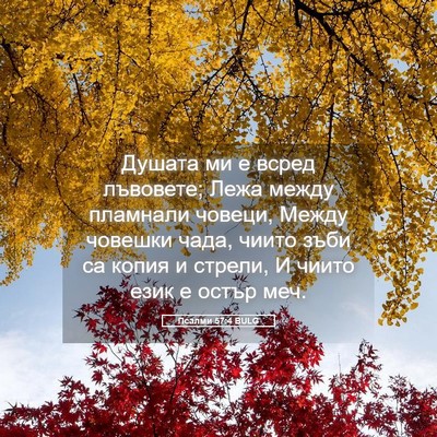 Picture 05 - Псалми 57:4 BULG - Душата ми е всред лъвовете; - Bible Verse Picture