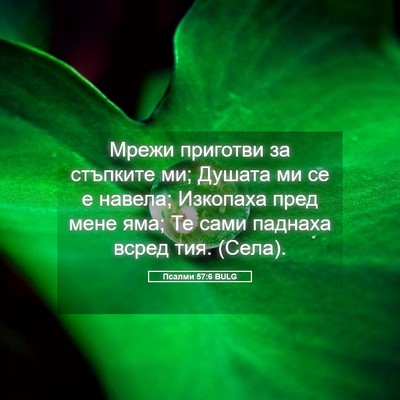 Picture 05 - Псалми 57:6 BULG - Мрежи приготви за стъпките - Bible Verse Picture
