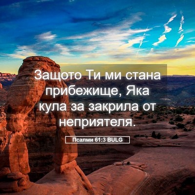 Picture 05 - Псалми 61:3 BULG - Защото Ти ми стана - Bible Verse Picture