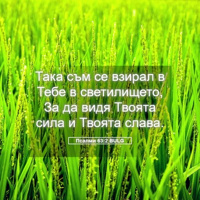 Picture 05 - Псалми 63:2 BULG - Така съм се взирал в Тебе в - Bible Verse Picture