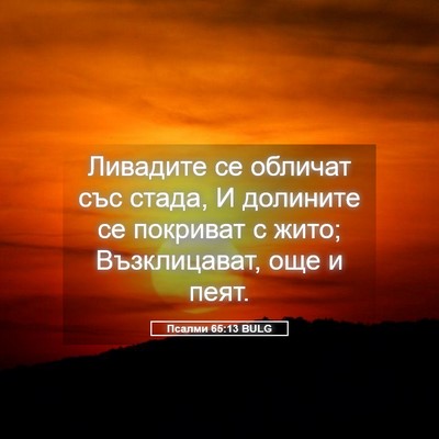 Picture 05 - Псалми 65:13 BULG - Ливадите се обличат със - Bible Verse Picture