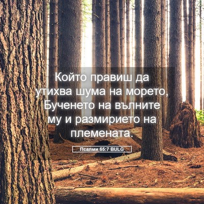 Picture 05 - Псалми 65:7 BULG - Който правиш да утихва - Bible Verse Picture