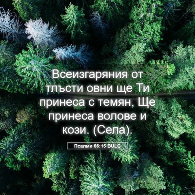 Picture 05 - Псалми 66:15 BULG - Всеизгаряния от тлъсти - Bible Verse Picture