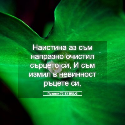 Picture 05 - Псалми 73:13 BULG - Наистина аз съм напразно - Bible Verse Picture