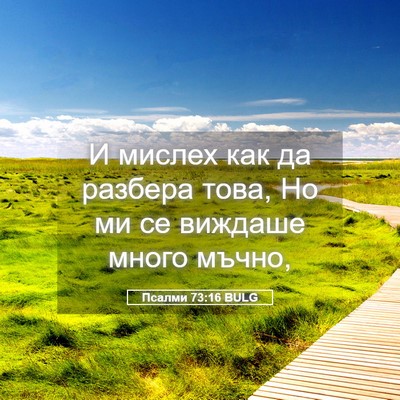 Picture 05 - Псалми 73:16 BULG - И мислех как да разбера - Bible Verse Picture