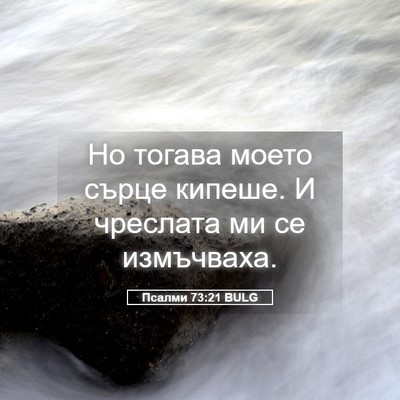 Picture 05 - Псалми 73:21 BULG - Но тогава моето сърце - Bible Verse Picture