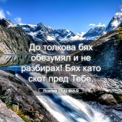 Picture 05 - Псалми 73:22 BULG - До толкова бях обезумял и - Bible Verse Picture