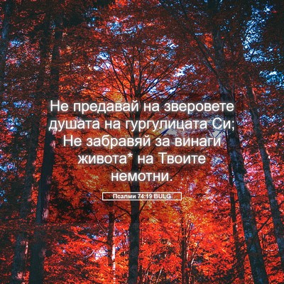 Picture 05 - Псалми 74:19 BULG - Не предавай на зверовете - Bible Verse Picture