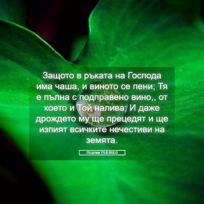 Picture 05 - Псалми 75:8 BULG - Защото в ръката на Господа - Bible Verse Picture