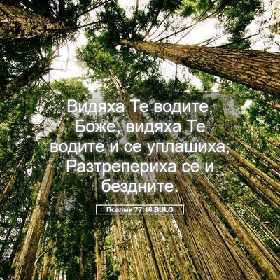 Picture 05 - Псалми 77:16 BULG - Видяха Те водите, Боже, - Bible Verse Picture