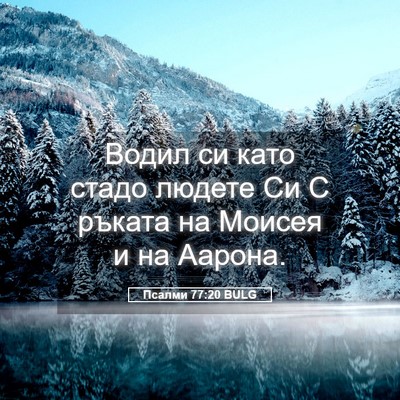 Picture 05 - Псалми 77:20 BULG - Водил си като стадо людете - Bible Verse Picture