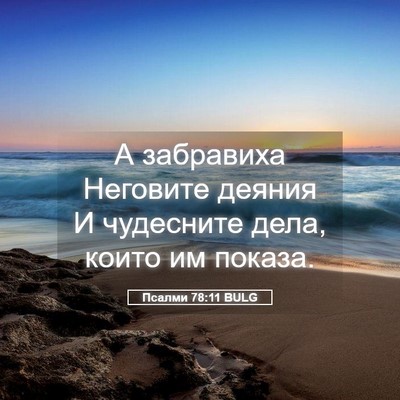 Picture 05 - Псалми 78:11 BULG - А забравиха Неговите - Bible Verse Picture