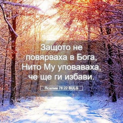 Picture 05 - Псалми 78:22 BULG - Защото не повярваха в Бога, - Bible Verse Picture