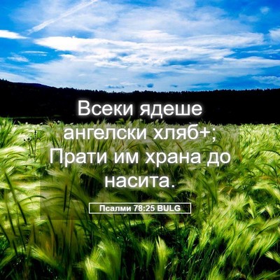 Picture 05 - Псалми 78:25 BULG - Всеки ядеше ангелски хляб+; - Bible Verse Picture