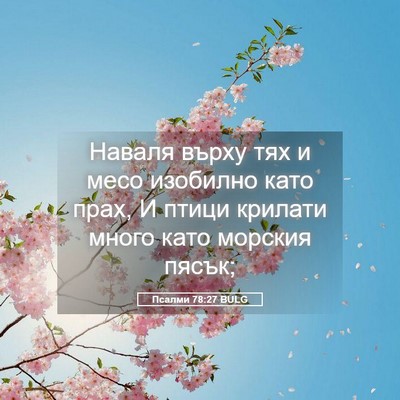 Picture 05 - Псалми 78:27 BULG - Наваля върху тях и месо - Bible Verse Picture