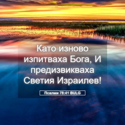 Picture 05 - Псалми 78:41 BULG - Като изново изпитваха - Bible Verse Picture