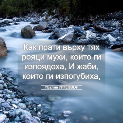 Picture 05 - Псалми 78:45 BULG - Как прати върху тях рояци - Bible Verse Picture