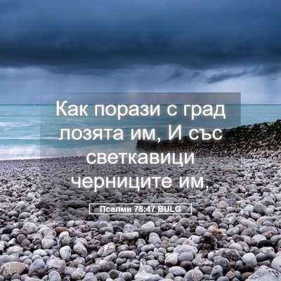 Picture 05 - Псалми 78:47 BULG - Как порази с град лозята - Bible Verse Picture