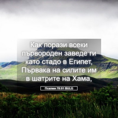 Picture 05 - Псалми 78:51 BULG - Как порази всеки - Bible Verse Picture