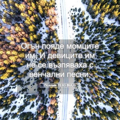 Picture 05 - Псалми 78:63 BULG - Огън пояде момците им, И - Bible Verse Picture