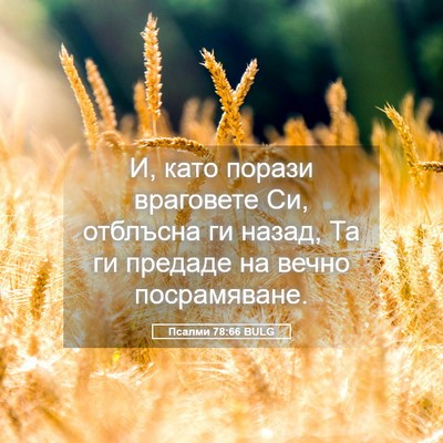 Picture 05 - Псалми 78:66 BULG - И, като порази враговете - Bible Verse Picture