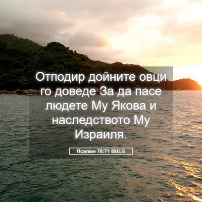 Picture 05 - Псалми 78:71 BULG - Отподир дойните овци го - Bible Verse Picture
