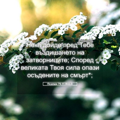 Picture 05 - Псалми 79:11 BULG - Нека дойде пред Тебе - Bible Verse Picture