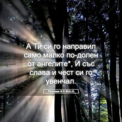 Picture 05 - Псалми 8:5 BULG - А Ти си го направил само - Bible Verse Picture