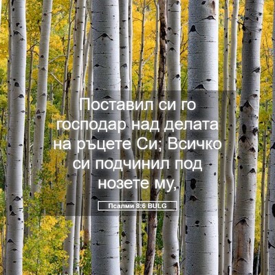 Picture 05 - Псалми 8:6 BULG - Поставил си го господар - Bible Verse Picture