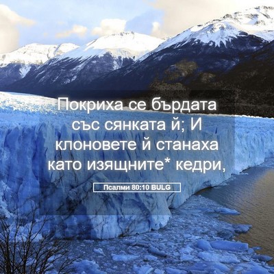 Picture 05 - Псалми 80:10 BULG - Покриха се бърдата със - Bible Verse Picture