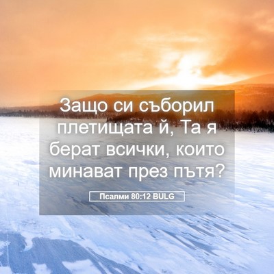 Picture 05 - Псалми 80:12 BULG - Защо си съборил плетищата - Bible Verse Picture