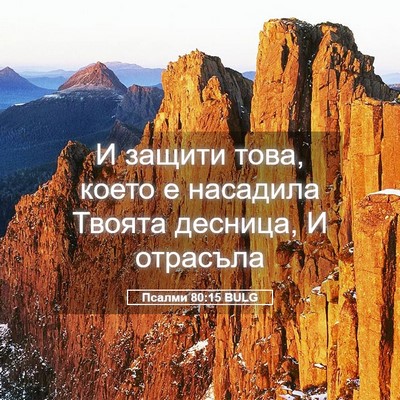 Picture 05 - Псалми 80:15 BULG - И защити това, което е - Bible Verse Picture