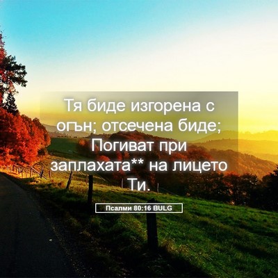 Picture 05 - Псалми 80:16 BULG - Тя биде изгорена с огън; - Bible Verse Picture