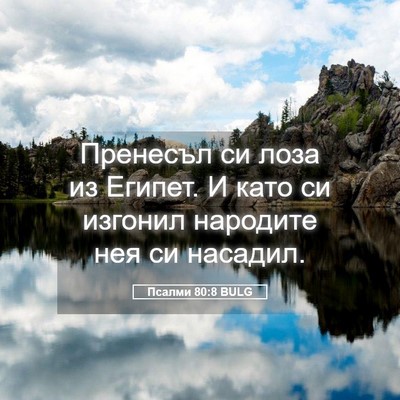 Picture 05 - Псалми 80:8 BULG - Пренесъл си лоза из Египет. - Bible Verse Picture