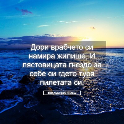 Picture 05 - Псалми 84:3 BULG - Дори врабчето си намира - Bible Verse Picture