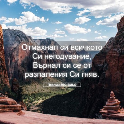 Picture 05 - Псалми 85:3 BULG - Отмахнал си всичкото Си - Bible Verse Picture