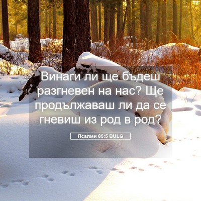 Picture 05 - Псалми 85:5 BULG - Винаги ли ще бъдеш - Bible Verse Picture