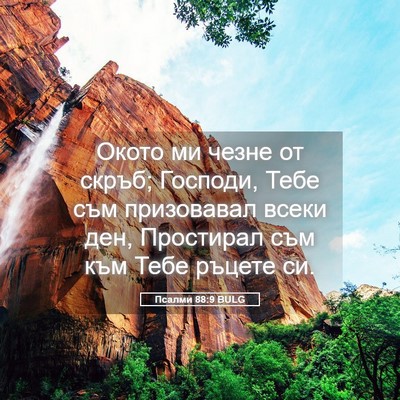 Picture 05 - Псалми 88:9 BULG - Окото ми чезне от скръб; - Bible Verse Picture