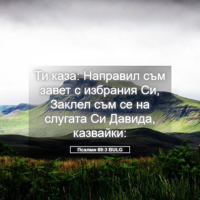 Picture 05 - Псалми 89:3 BULG - Ти каза: Направил съм завет - Bible Verse Picture