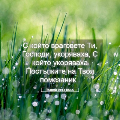 Picture 05 - Псалми 89:51 BULG - С който враговете Ти, - Bible Verse Picture