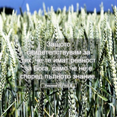Picture 05 - Римляни 10:2 BULG - Защото свидетелствувам за - Bible Verse Picture