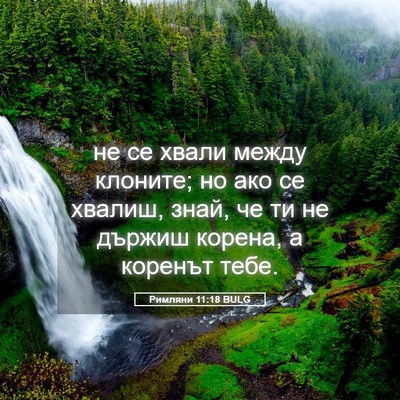Picture 05 - Римляни 11:18 BULG - не се хвали между клоните; - Bible Verse Picture
