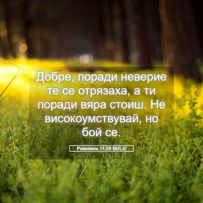Picture 05 - Римляни 11:20 BULG - Добре, поради неверие те се - Bible Verse Picture