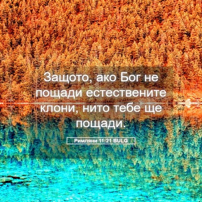 Picture 05 - Римляни 11:21 BULG - Защото, ако Бог не пощади - Bible Verse Picture
