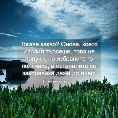 Picture 05 - Римляни 11:7 BULG - Тогава какво? Онова, което - Bible Verse Picture