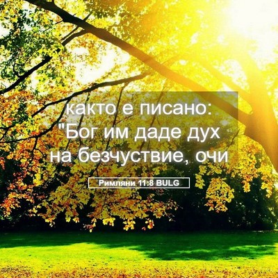Picture 05 - Римляни 11:8 BULG - както е писано: 