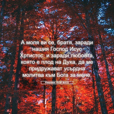 Picture 05 - Римляни 15:30 BULG - А моля ви се, братя, заради - Bible Verse Picture