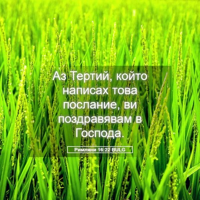 Picture 05 - Римляни 16:22 BULG - Аз Тертий, който написах - Bible Verse Picture