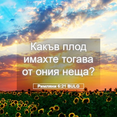 Picture 05 - Римляни 6:21 BULG - Какъв плод имахте тогава - Bible Verse Picture