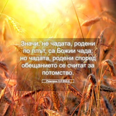 Picture 05 - Римляни 9:8 BULG - Значи, не чадата, родени по - Bible Verse Picture